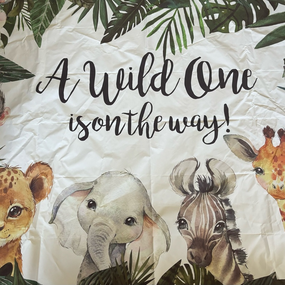 Baby Shower Games and Decor